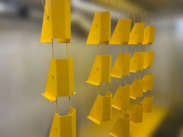 Seeriadetailide pulbervärvimine - JS Production